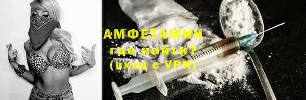 молекула духа Бородино