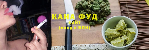 молекула духа Богородицк