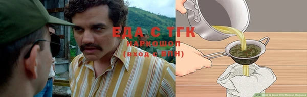молекула духа Бородино
