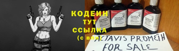 молекула духа Бородино