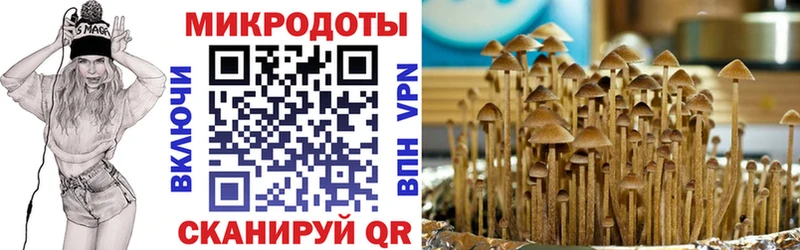закладки  Минеральные Воды  Псилоцибиновые грибы Magic Shrooms 
